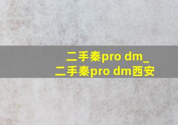 二手秦pro dm_二手秦pro dm西安